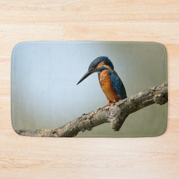 Item preview, kingfisher perched on a branch, Oasi WWF Lago di Alviano, Umbria, Italy designed and sold by AndrewJonesFoto.