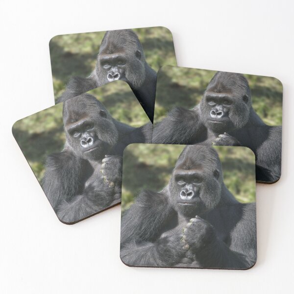 Item preview, Silverback Gorilla Portrait designed and sold by rawshutterbug.