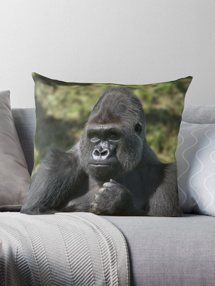 Gorilla Artwork - Animal Art Monkey Zoo Gorilla Throw Pillow