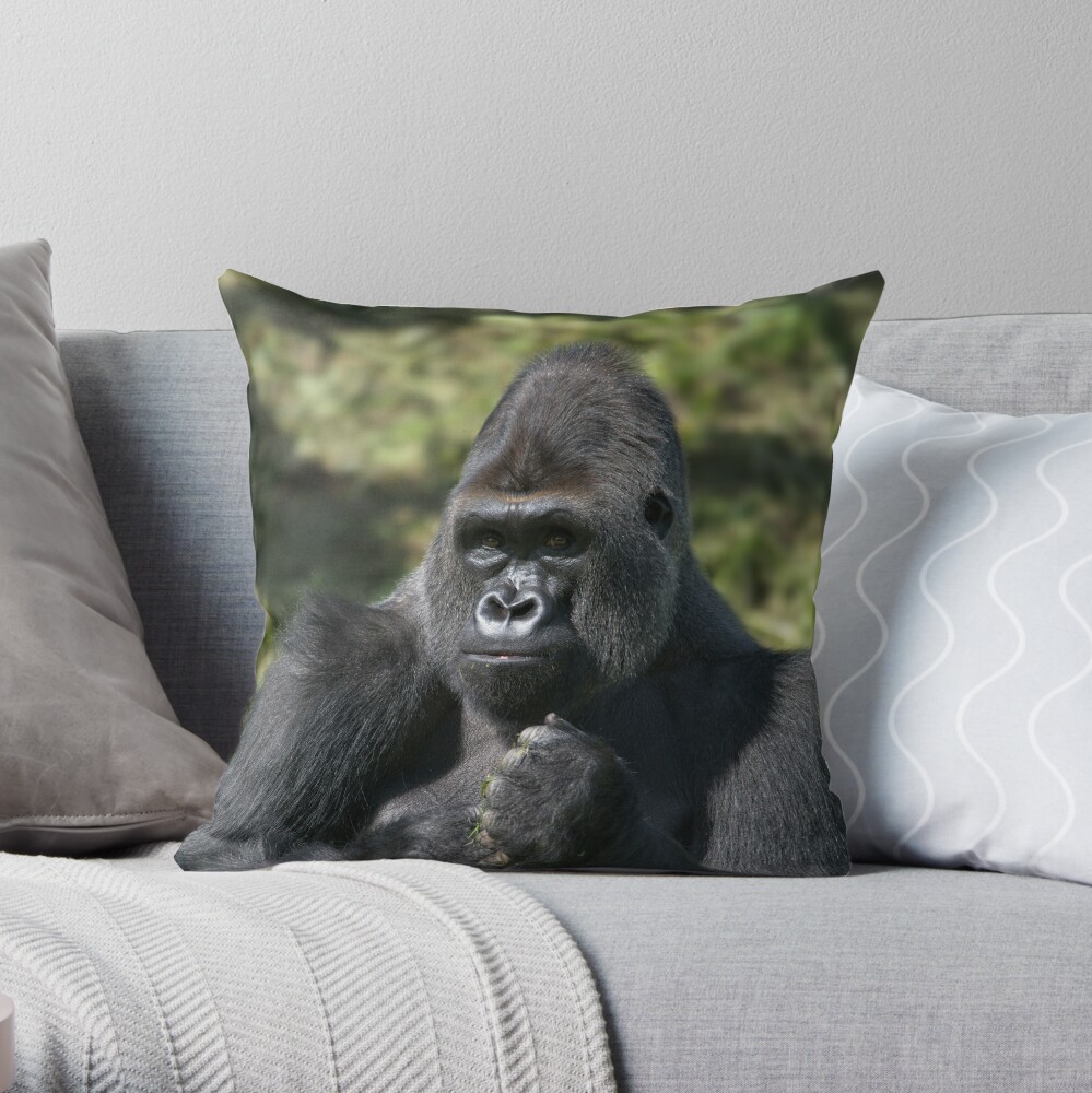 https://ih1.redbubble.net/image.929243259.7778/throwpillow,small,1000x-bg,f8f8f8-c,0,200,1000,1000.u1.jpg