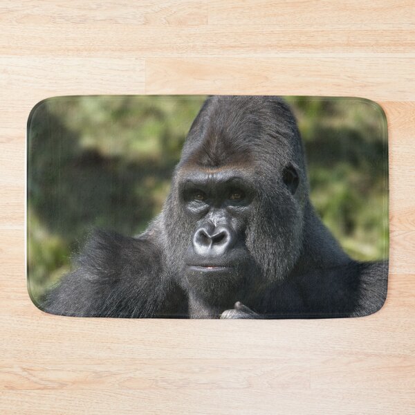 Item preview, Silverback Gorilla Portrait designed and sold by rawshutterbug.