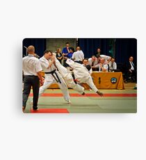 fight 3 Canvas Print