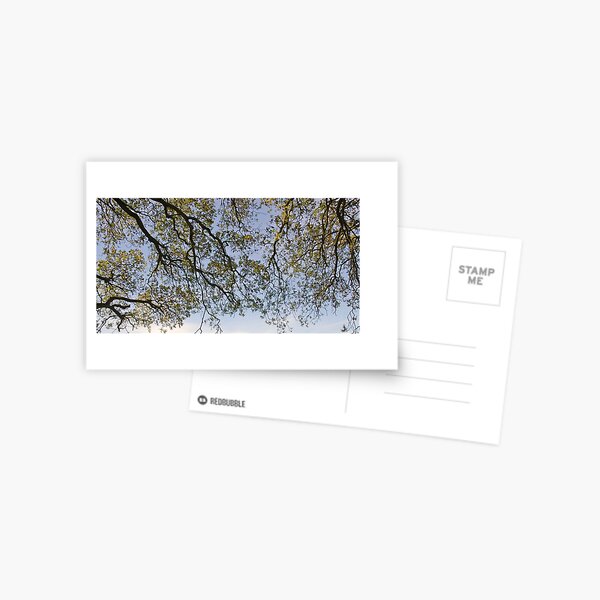 Item preview, Powderham Branches (Ilex Oak) designed and sold by Mike  Waldron.