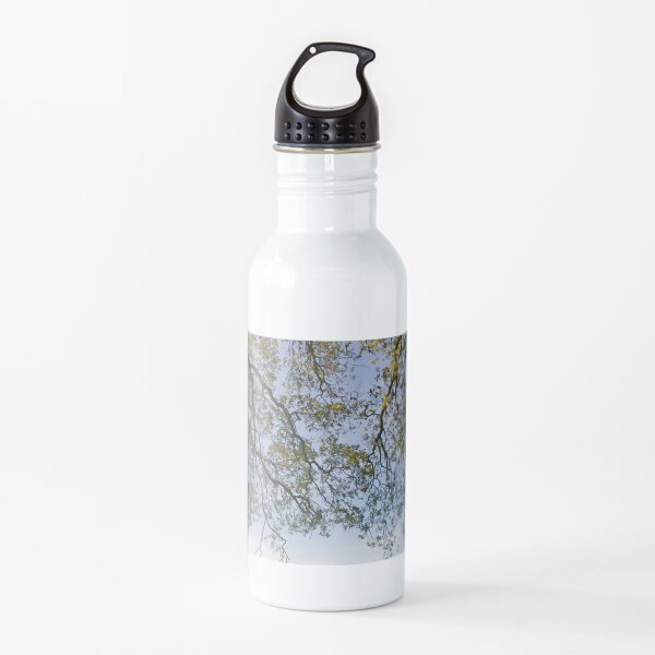 Powderham Branches (Ilex Oak) Water Bottle