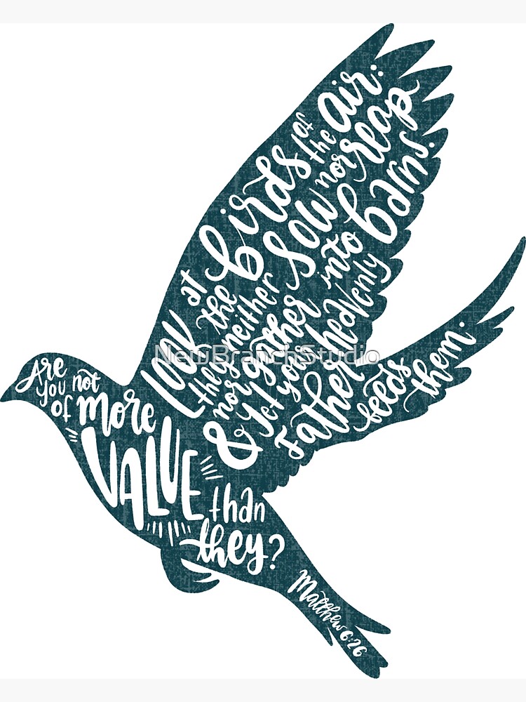Matthew 26:6 - More than the birds (dark teal) by NewBranchStudio