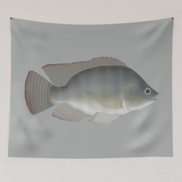 Item preview, Nile Tilapia designed and sold by fishfolkart.