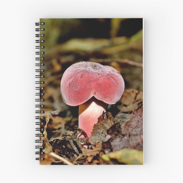 Item preview, Pinched but Perfect designed and sold by Kathleen Daley.