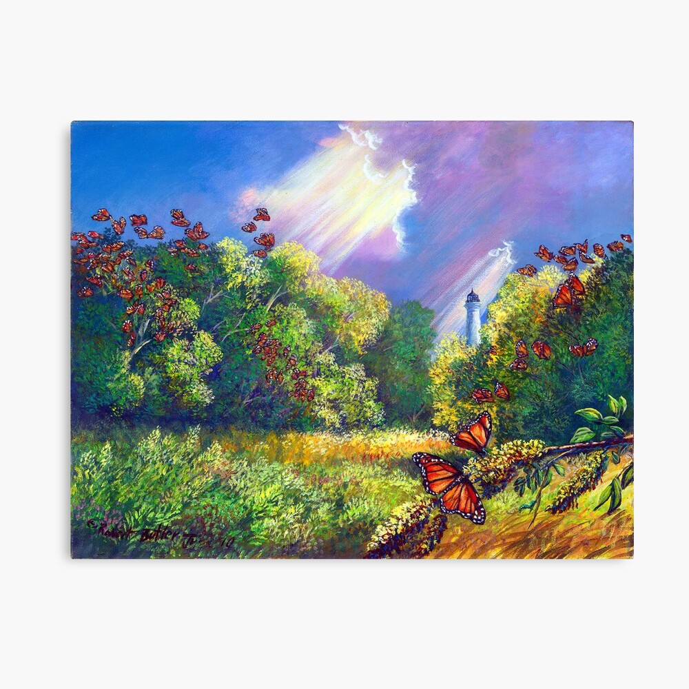 "Monarch Protuberance - St. Marks Light" Canvas Print
