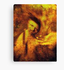 Batista dream 2 Canvas Print