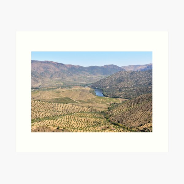 Item preview, Douro Wine Region Landscape designed and sold by mattpanta.
