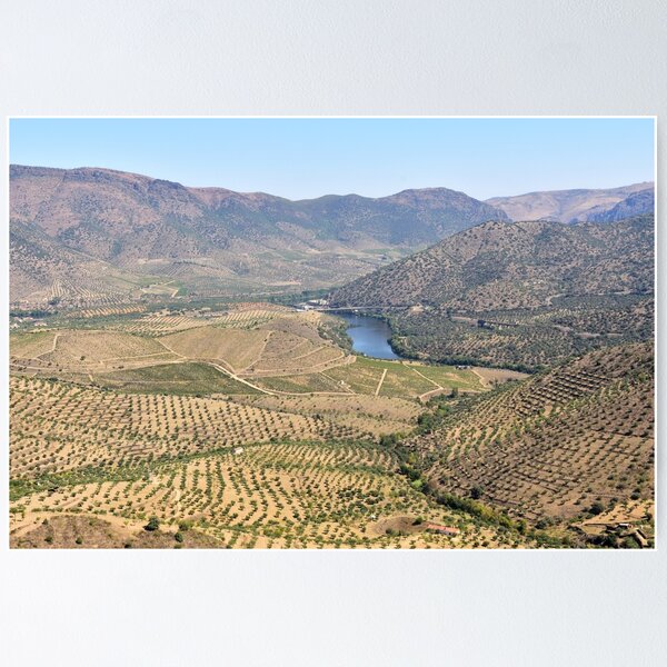 Item preview, Douro Wine Region Landscape designed and sold by mattpanta.