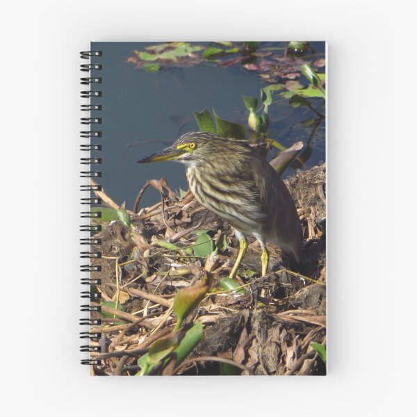 Item preview, Squacco Heron, Pokhara, Nepal designed and sold by wiggyofipswich.