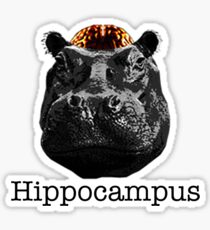 Hippocampus Sticker