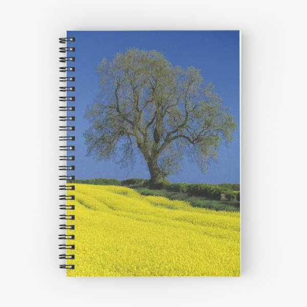 Item preview, The Oak Tree designed and sold by wiggyofipswich.