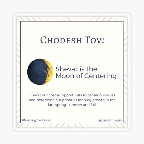 Jewish Planner Sticker: Shevat Transparent Sticker