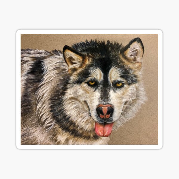Malamute Husky Sticker