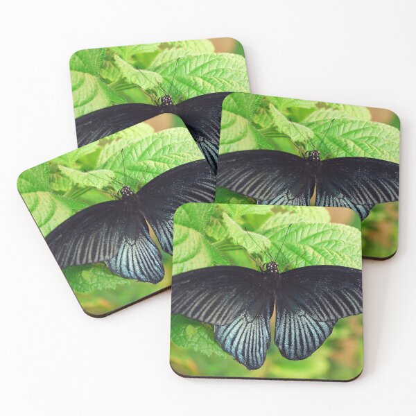 Item preview, Great Mormon (Papilio memnon) designed and sold by Richard Nix.