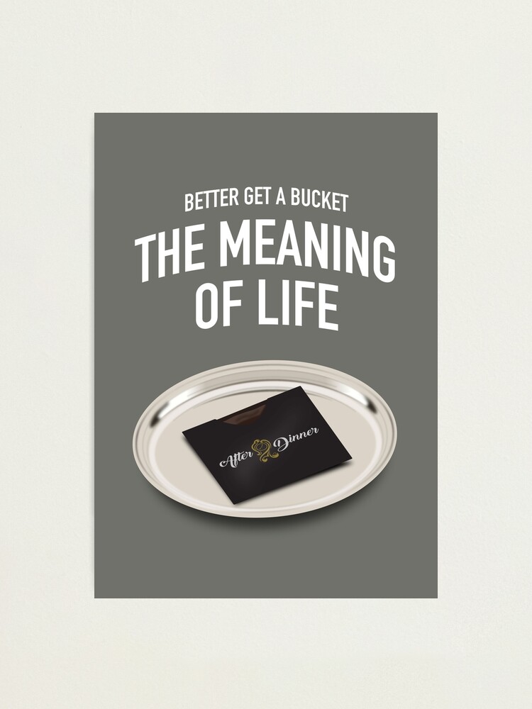 Alternate view of The Meaning of Life - Alternative Movie Poster Photographic Print