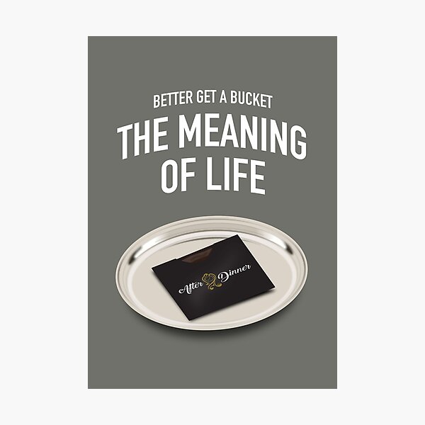 The Meaning of Life - Alternative Movie Poster Photographic Print