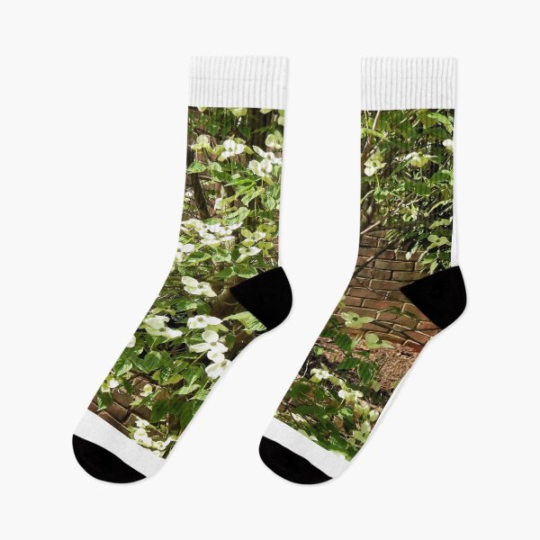Item preview, Mt Vernon Dogwoods designed and sold by Robin Kinnard.