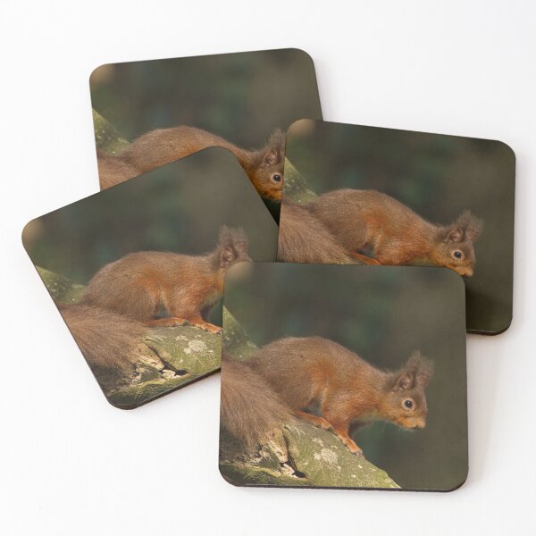 Item preview, red squirrel designed and sold by Jon Lees.