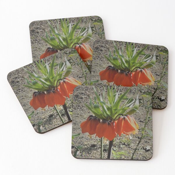 Item preview, Orange designed and sold by Robin Kinnard.