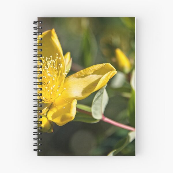 Item preview, Japanese Garden in Cowra/NSW/Australia (9) designed and sold by Wolf Sverak Photography.