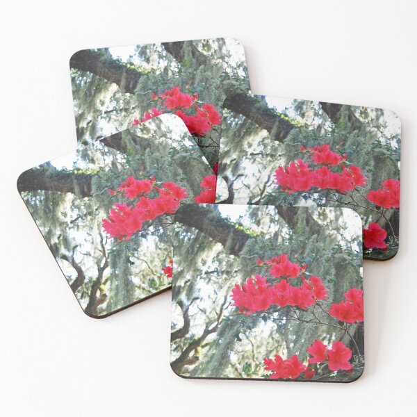 Item preview, Azaleas and Spanish Moss designed and sold by Richard Nix.