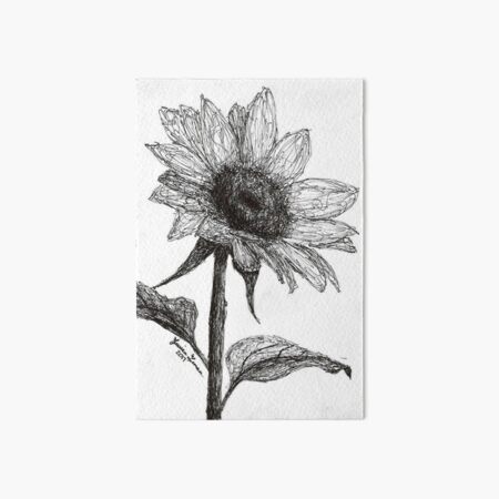 Download Scribble Sunflower Art Board Print By Jessieisaninja Redbubble