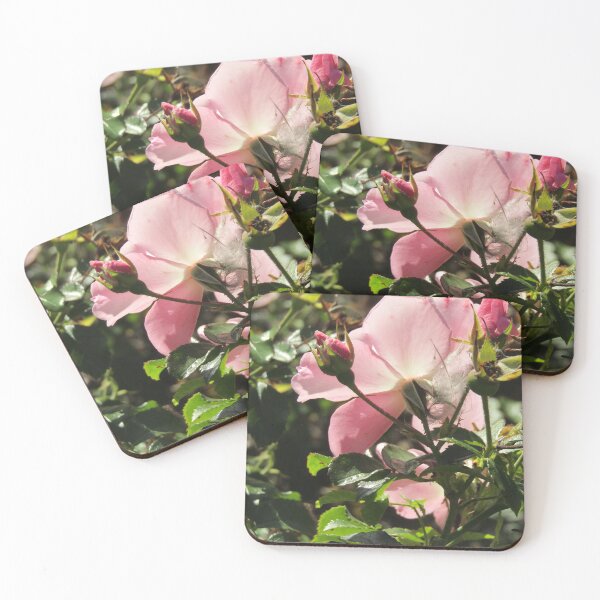 Item preview, pretty pink rose designed and sold by joshuarainbird.