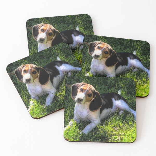 Item preview, Cute beagle laying in the grass designed and sold by With My Hands By K.