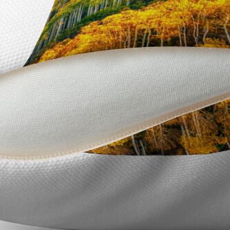 Alternate view of Aspen Soldiers Throw Pillow