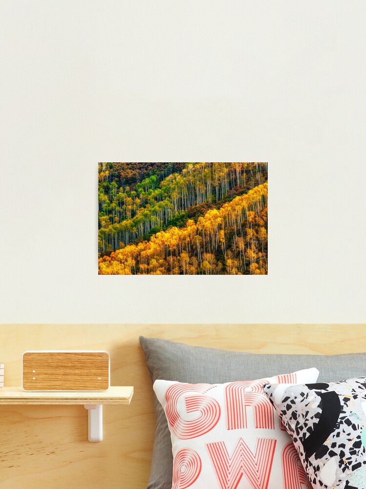 Thumbnail 2 of 3, Photographic Print, Aspen Soldiers designed and sold by nikongreg.