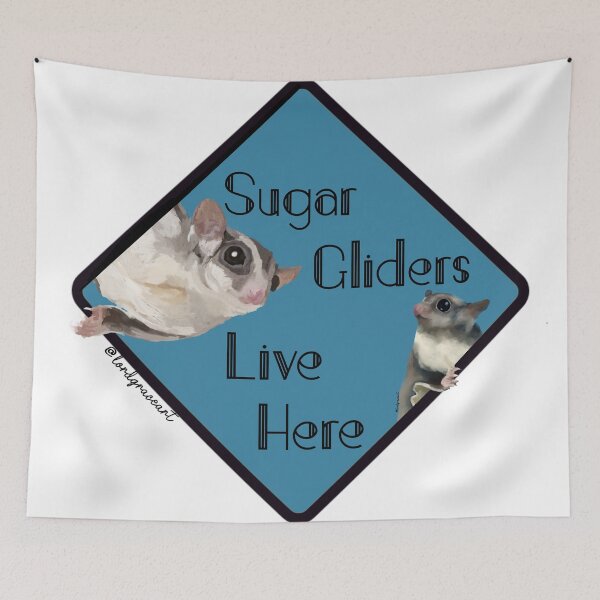 Item preview, Sugar Gliders Live Here- Sky Blue designed and sold by LordGraceArt.