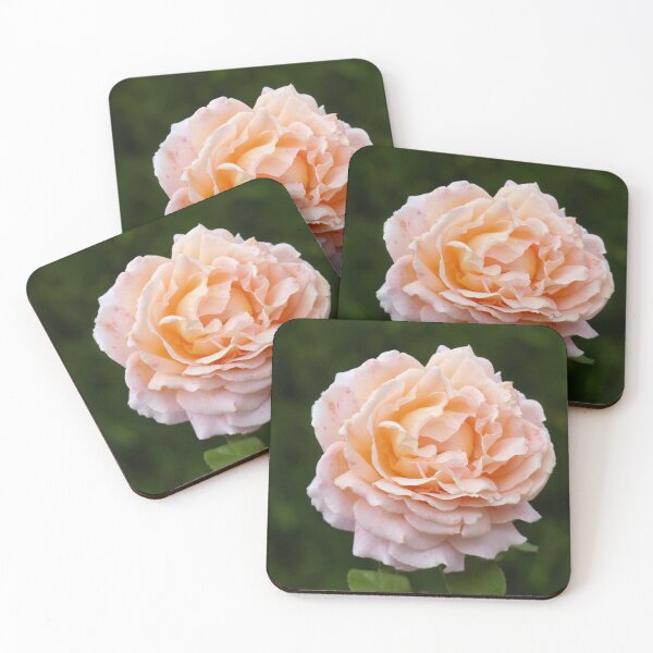 Item preview, Apricot Rose - Vertical designed and sold by Connie Pinson.