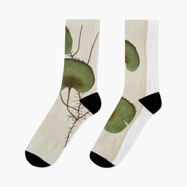 Item preview, Kidney Fern designed and sold by BlueSpecsStudio.