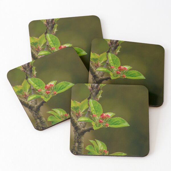 Item preview, ebs apricots in bloom designed and sold by pcfyi.