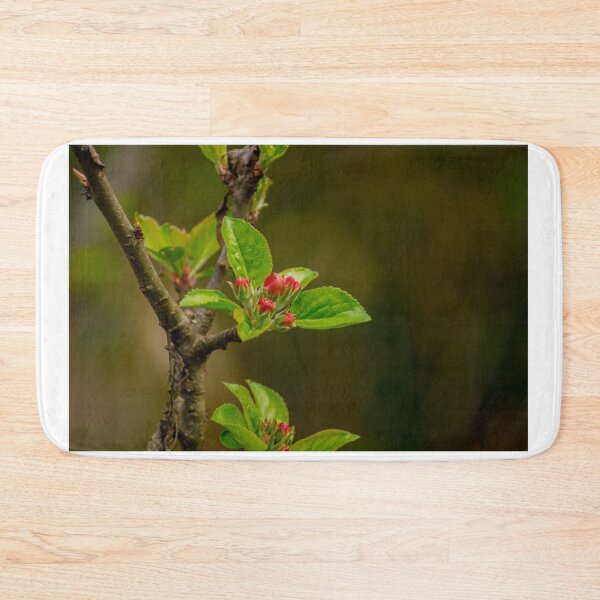 Item preview, ebs apricots in bloom designed and sold by pcfyi.