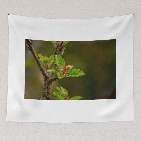 Item preview, ebs apricots in bloom designed and sold by pcfyi.