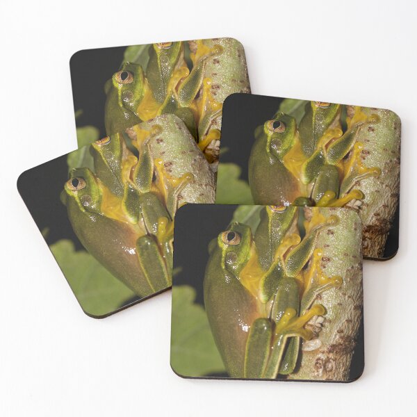 Item preview, Graceful Tree Frogs designed and sold by Connie Pinson.