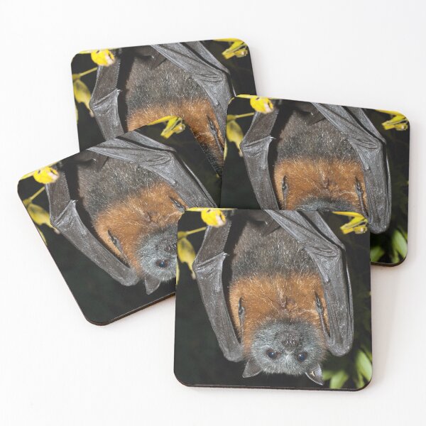 Item preview, Grey-headed Flying-fox (Pteropus poliocephalus) designed and sold by Connie Pinson.