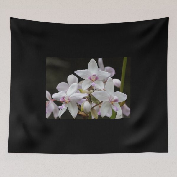 Item preview, Small Purple Orchid (Spathoglottis paulinae) designed and sold by Connie Pinson.