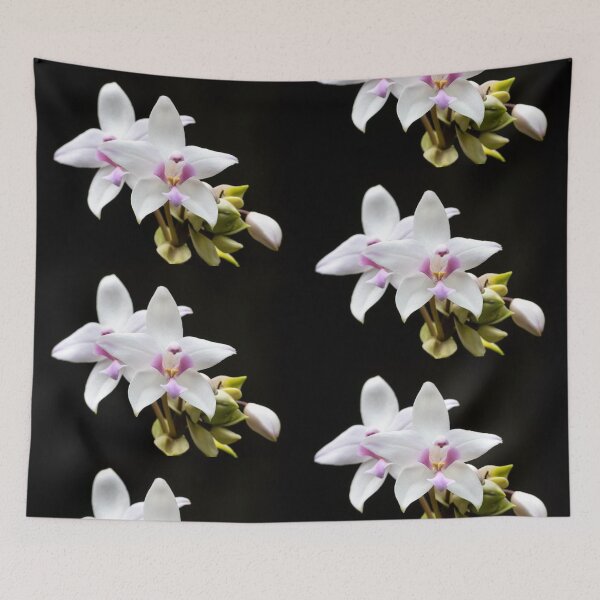 Item preview, Purple Ground Orchid (Spathoglottis plicata) designed and sold by Connie Pinson.