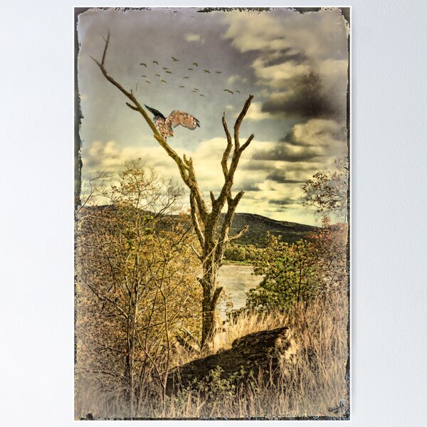 Item preview, Owl's Roost designed and sold by Chris Lord's Pixielated Pixels.