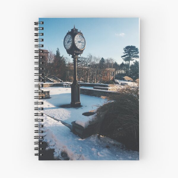 Item preview, snowy endicott designed and sold by taryncarey225.