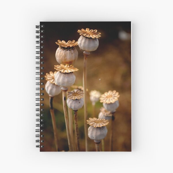 Group of seed pods Spiral Notebook