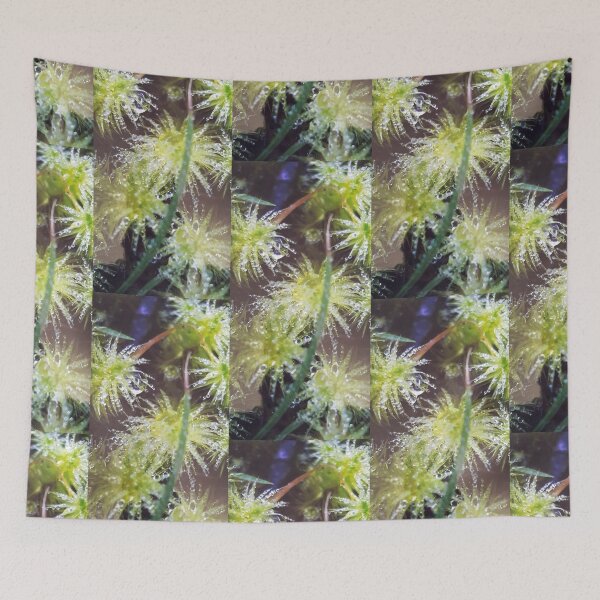 Item preview, Dewy Moss designed and sold by JulieMoss.