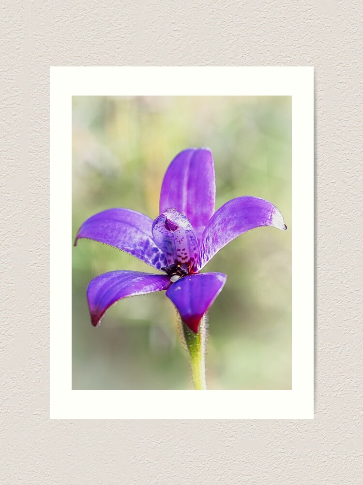 Alternate view of Purple Enamel Orchid Art Print