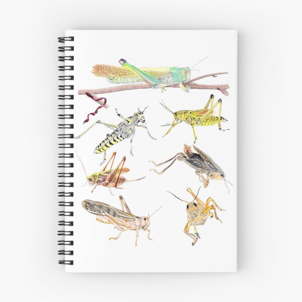 Item preview, A Medley of Grasshoppers and Locusts designed and sold by AuntieBetty.