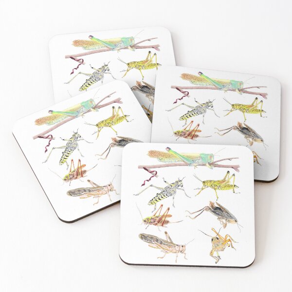 Item preview, A Medley of Grasshoppers and Locusts designed and sold by AuntieBetty.